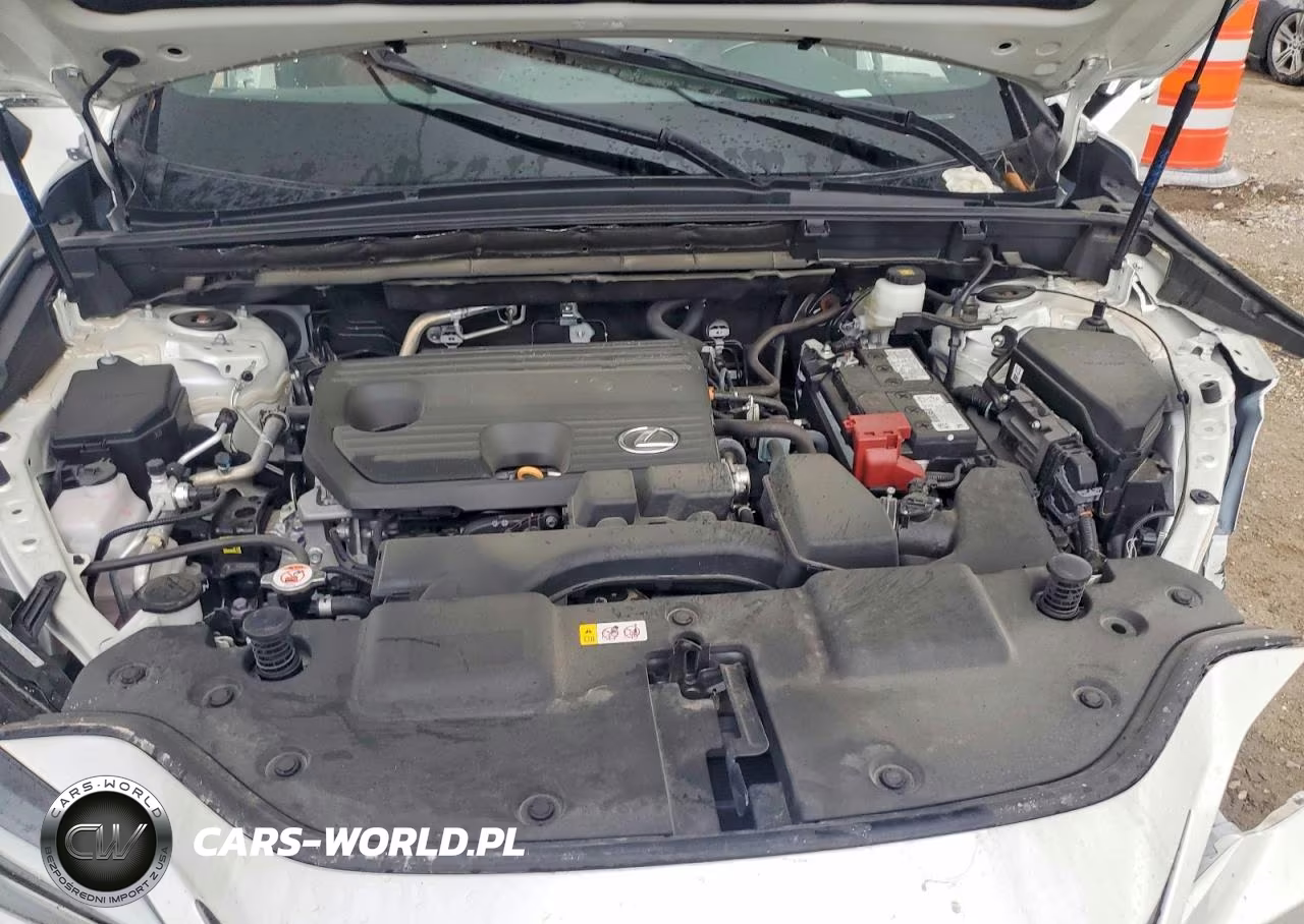 2024 Lexus Nx 250 Premium VIN:2T2GDCAZ4RC014130 - 11