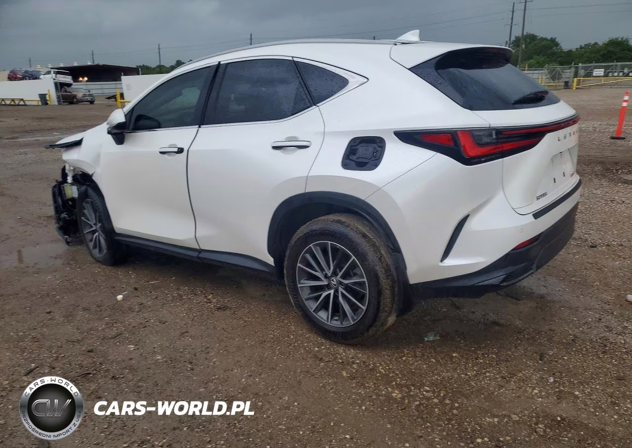 2024 Lexus Nx 250 Premium VIN:2T2GDCAZ4RC014130 - 2