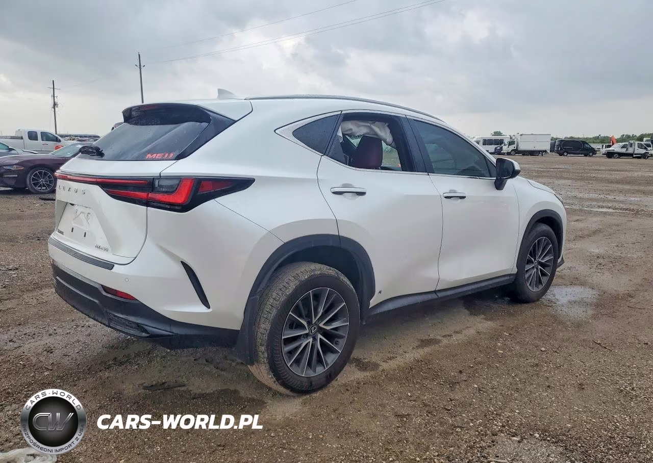 2024 Lexus Nx 250 Premium VIN:2T2GDCAZ4RC014130 - 3