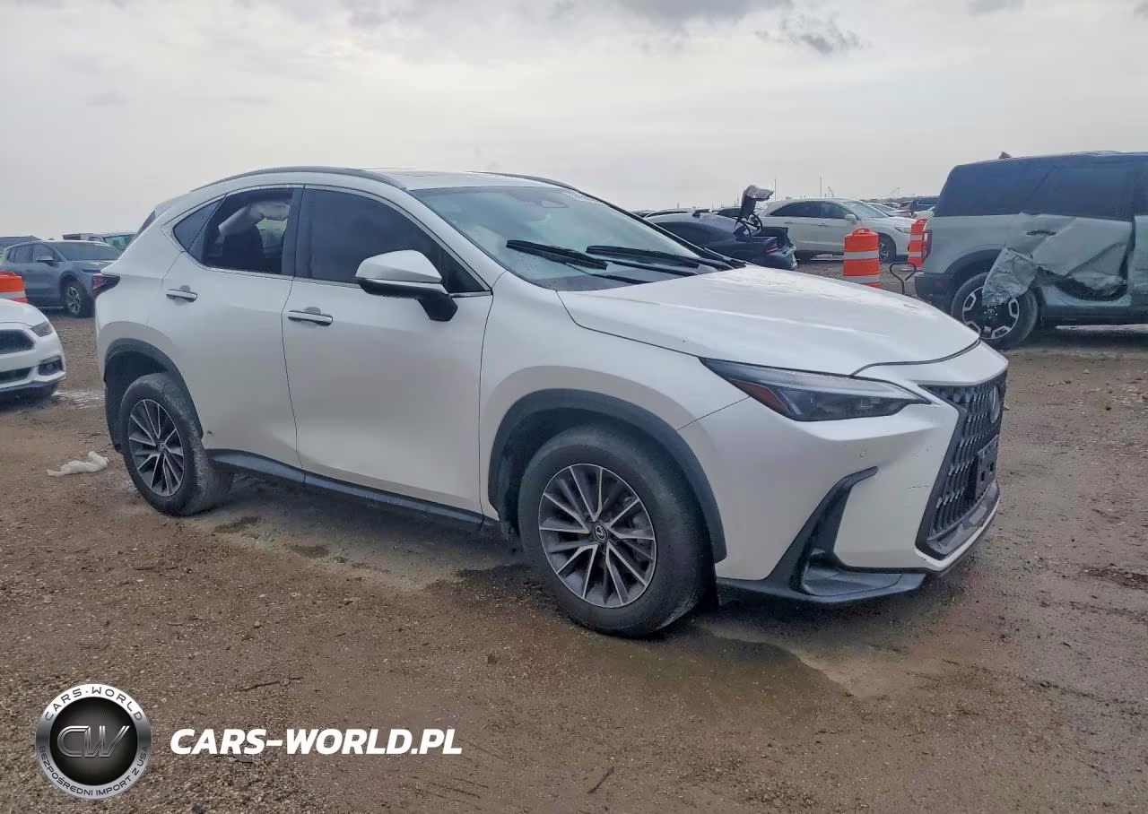 2024 Lexus Nx 250 Premium VIN:2T2GDCAZ4RC014130 - 4