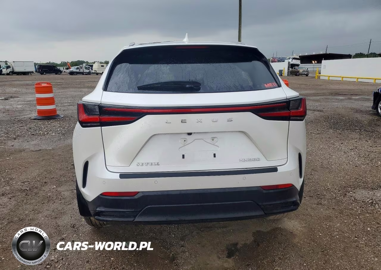 2024 Lexus Nx 250 Premium VIN:2T2GDCAZ4RC014130 - 6