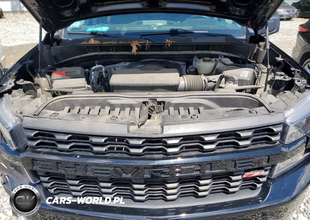 2021 Chevrolet Silverado K1500 Trail Boss Custom VIN:1GCPYCEF0MZ259076 - 11