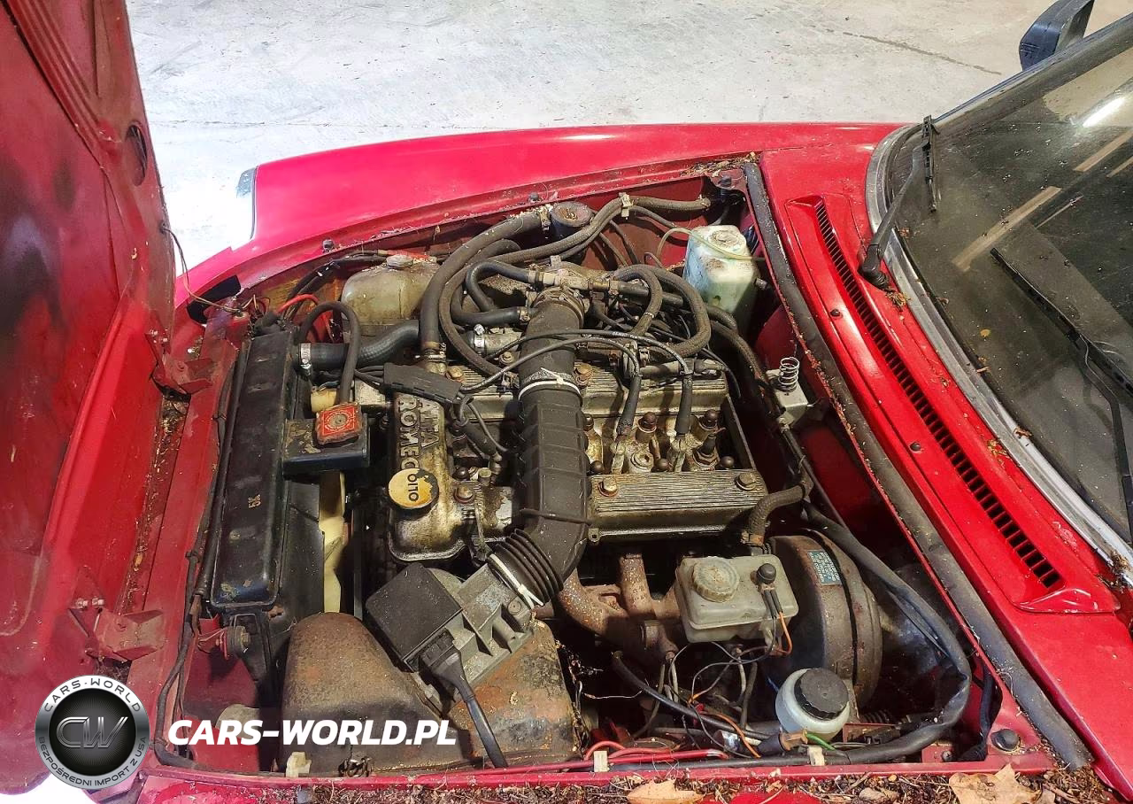 1986 Alfa Romeo Veloce 2000 Spider VIN:ZARBA5414G1043255 - 11