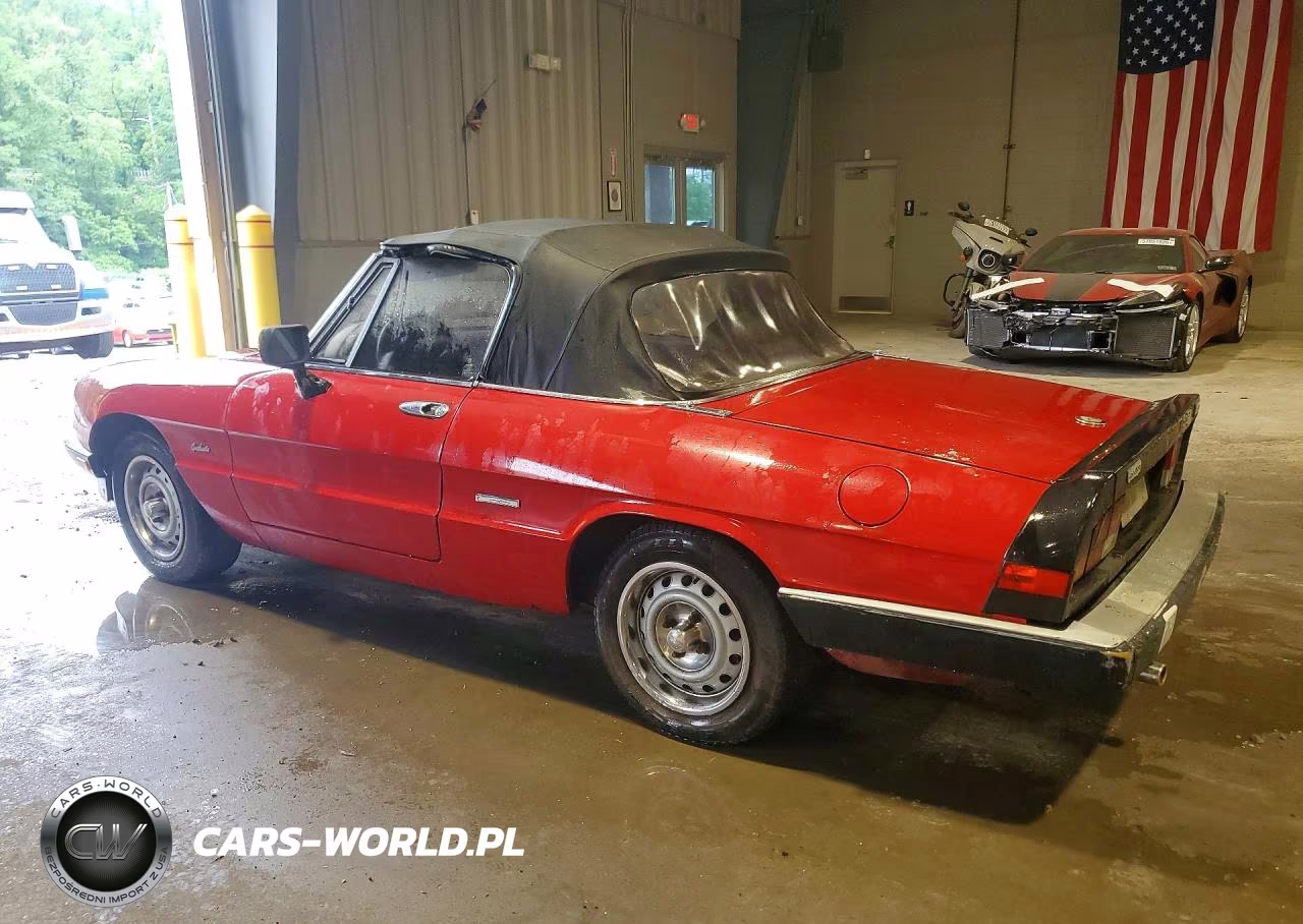 1986 Alfa Romeo Veloce 2000 Spider VIN:ZARBA5414G1043255 - 2