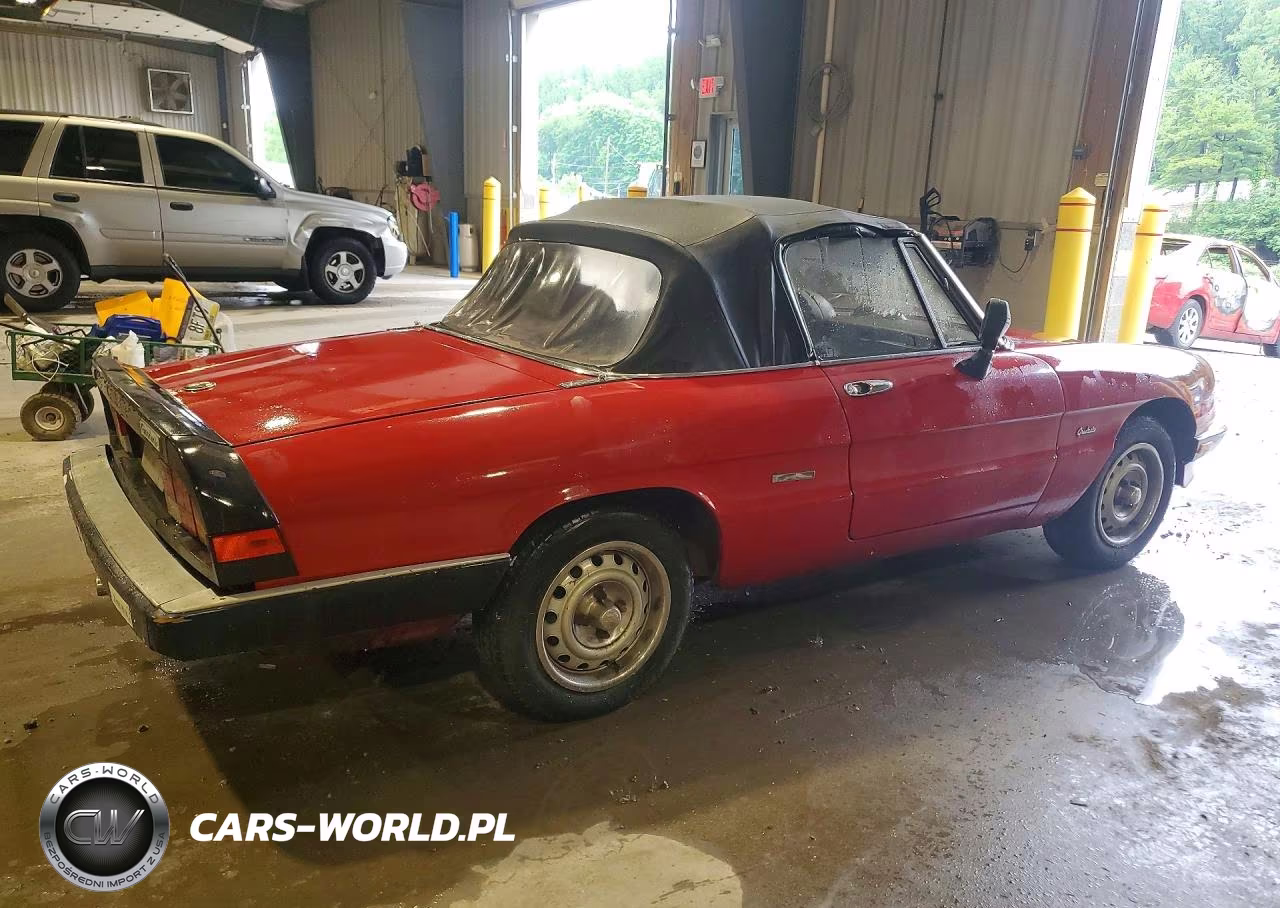 1986 Alfa Romeo Veloce 2000 Spider VIN:ZARBA5414G1043255 - 3