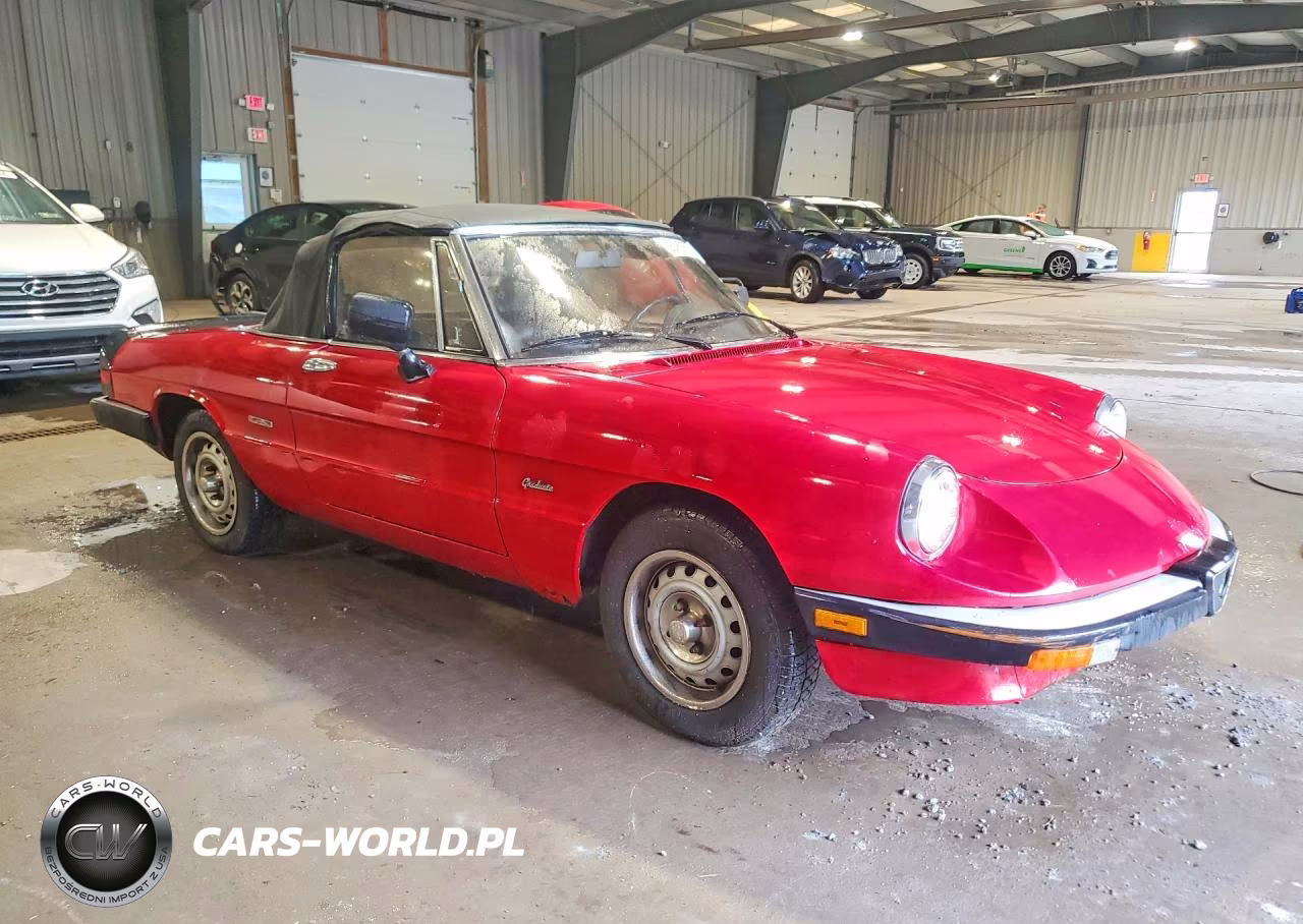 1986 Alfa Romeo Veloce 2000 Spider VIN:ZARBA5414G1043255 - 4