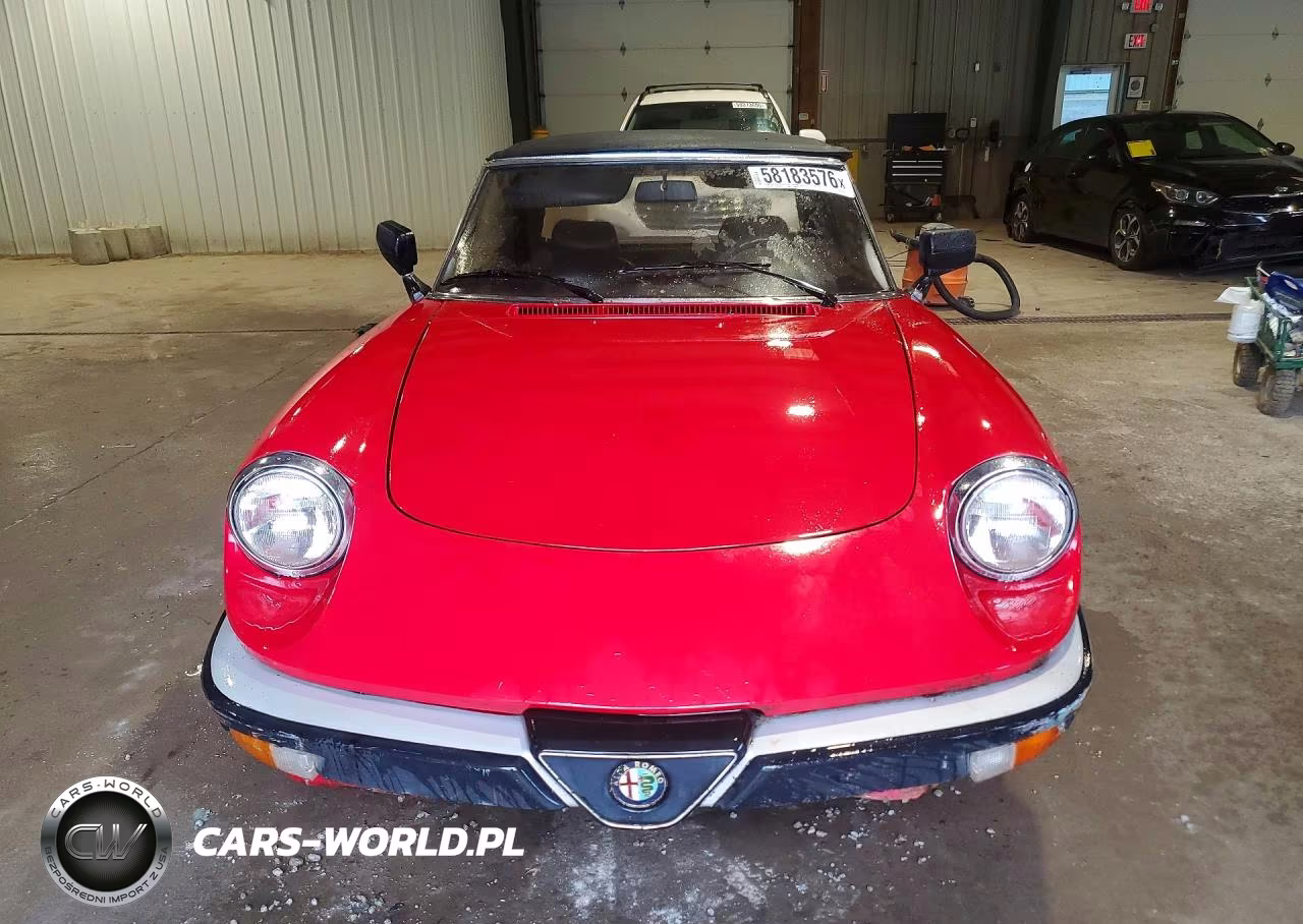 1986 Alfa Romeo Veloce 2000 Spider VIN:ZARBA5414G1043255 - 5