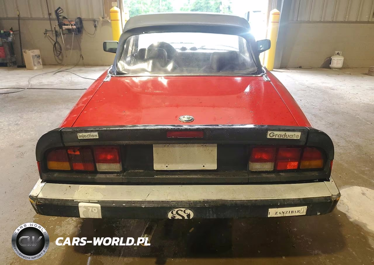 1986 Alfa Romeo Veloce 2000 Spider VIN:ZARBA5414G1043255 - 6