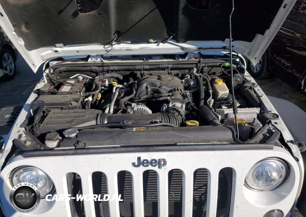 2017 Jeep Wrangler Unlimited Rubicon VIN:1C4BJWFG5HL505779 - 11