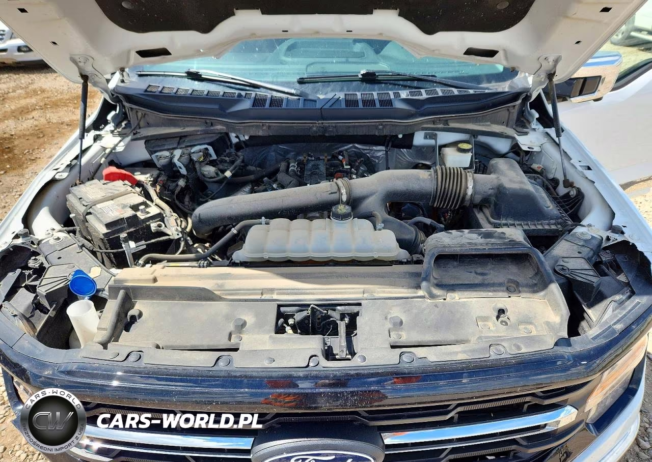 2024 Ford F150 Xlt VIN:1FTFW3L83RKE54692 - 11
