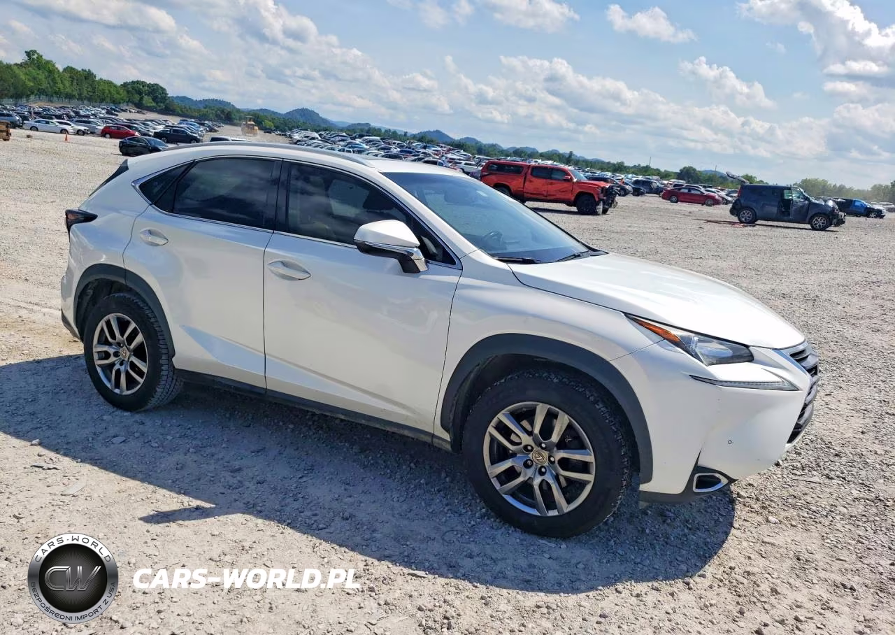 2016 Lexus Nx 200T Base VIN:JTJYARBZ6G2028431 - 4