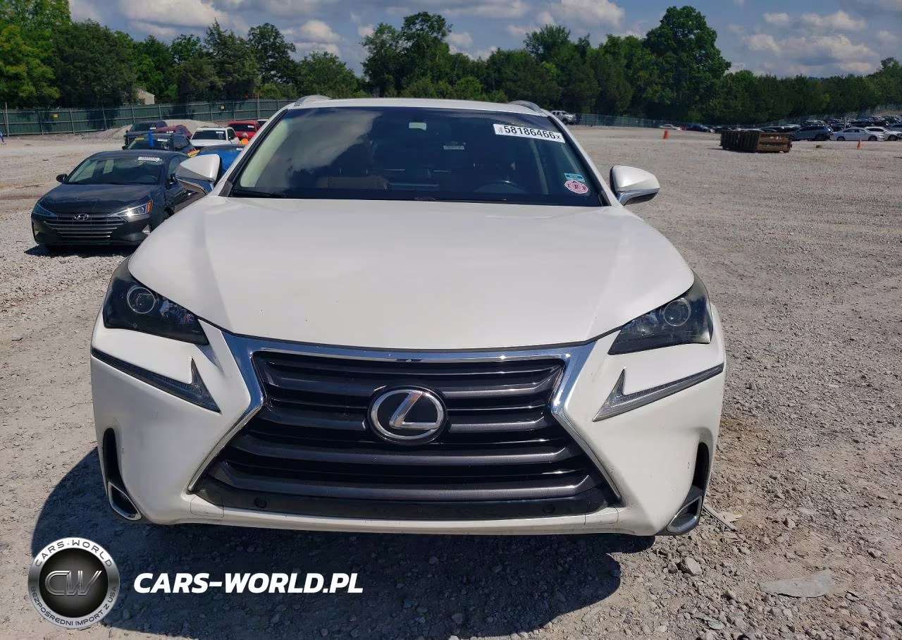 2016 Lexus Nx 200T Base VIN:JTJYARBZ6G2028431 - 5