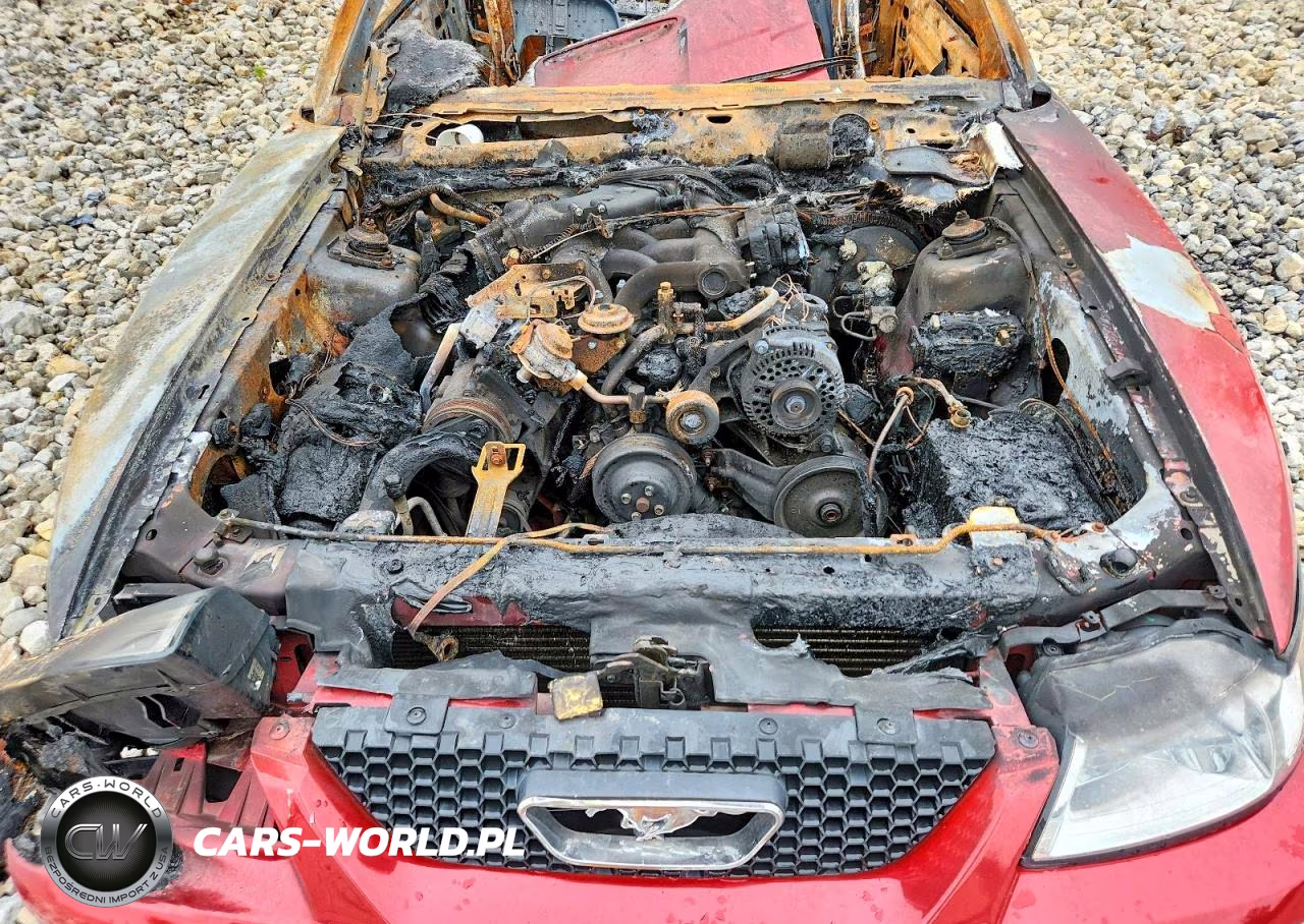1999 Ford Mustang VIN:1FAFP444XXF196844 - 11