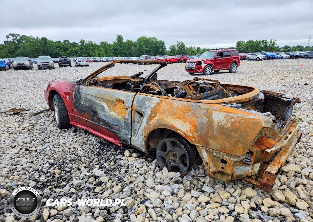 1999 Ford Mustang VIN:1FAFP444XXF196844 - 2