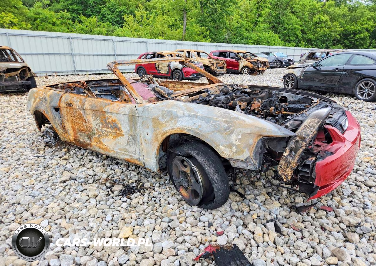 1999 Ford Mustang VIN:1FAFP444XXF196844 - 4