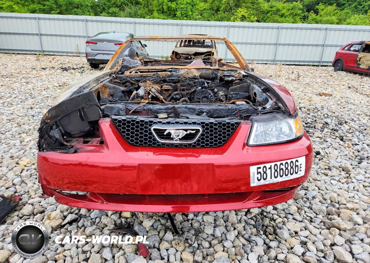 1999 Ford Mustang VIN:1FAFP444XXF196844 - 5