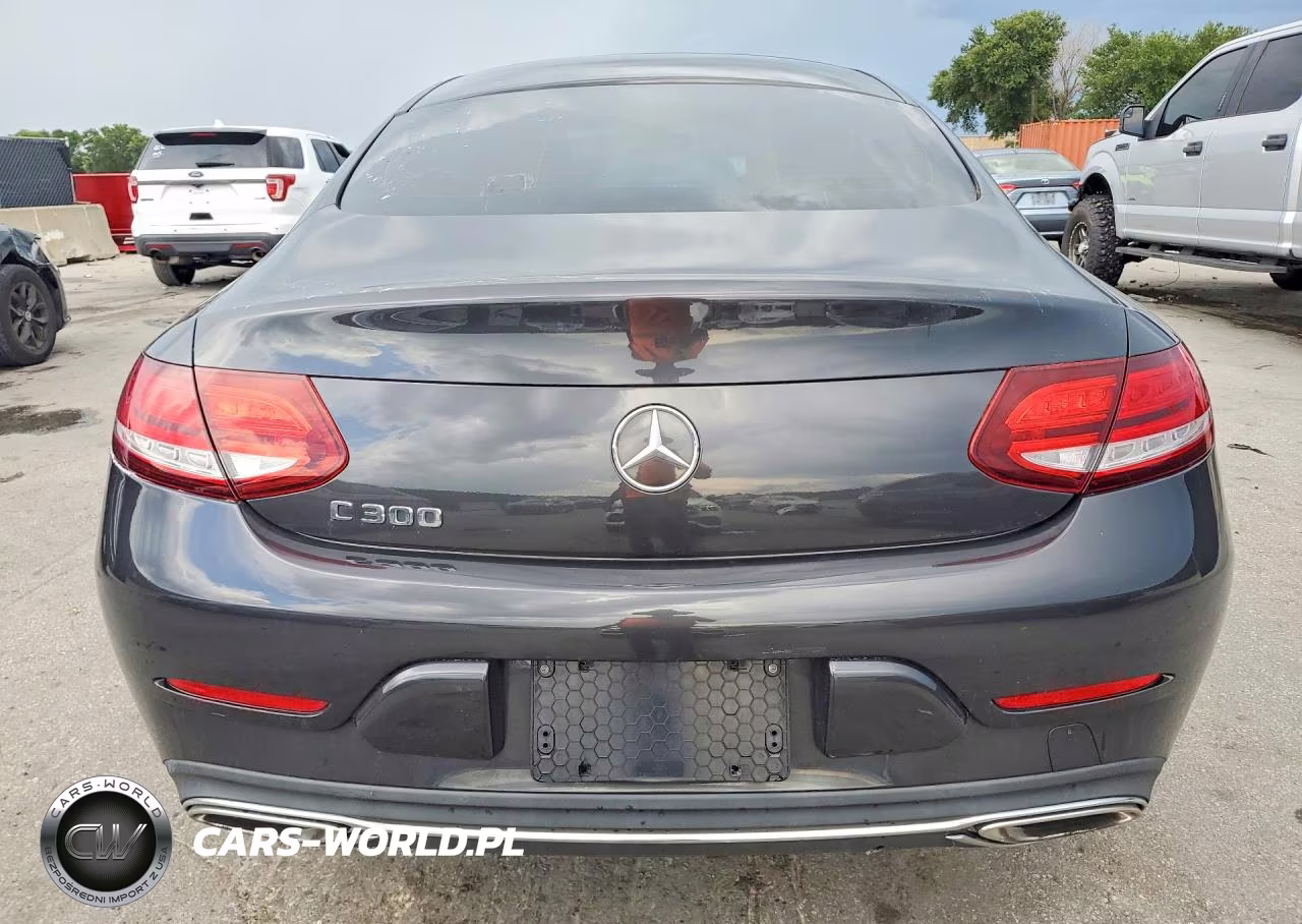 2020 Mercedes-Benz C 300 VIN:WDDWJ8DB9LF954092 - 6