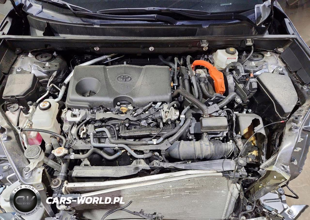 2022 Toyota Rav4 Xle VIN:4T3RWRFV4NU061609 - 12