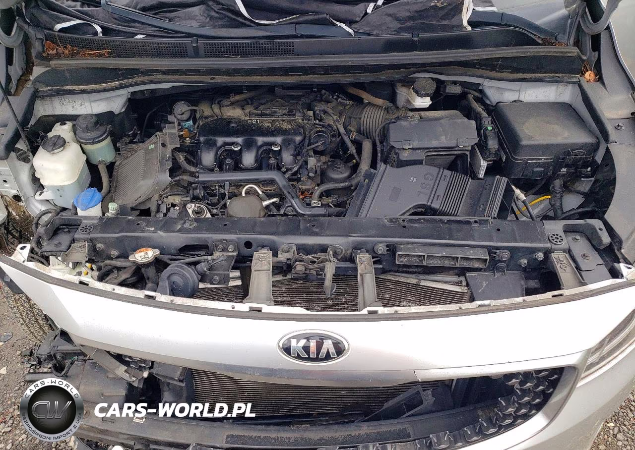 2017 Kia Sedona Lx VIN:KNDMB5C10H6306864 - 12