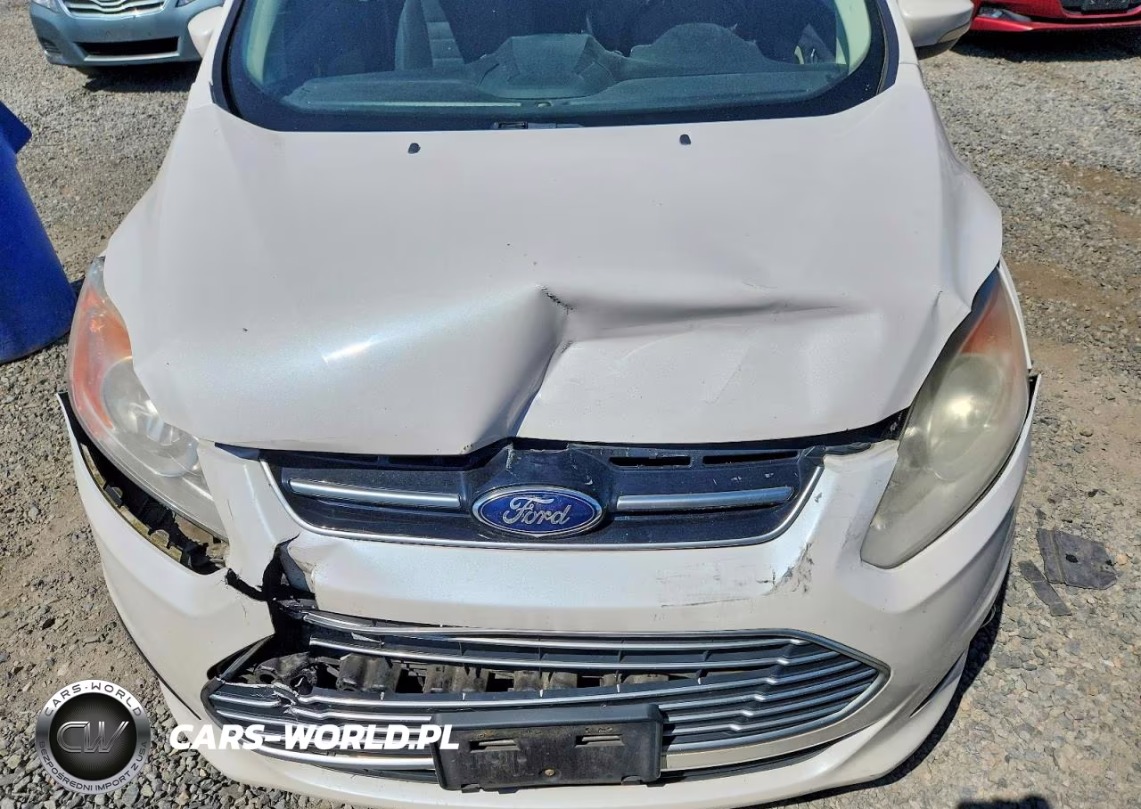 2013 Ford C-Max Sel VIN:1FADP5BU5DL511952 - 12