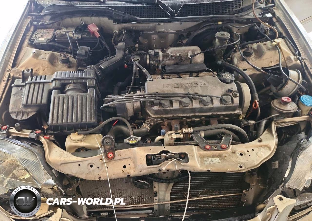 2000 Honda Civic Ex VIN:1HGEJ8649YL042030 - 11