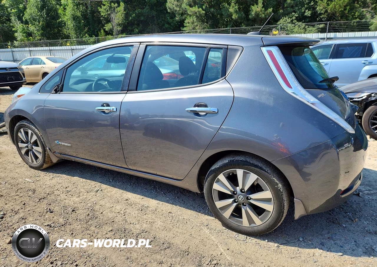 2016 Nissan Leaf Sv VIN:1N4BZ0CP5GC313857 - 2