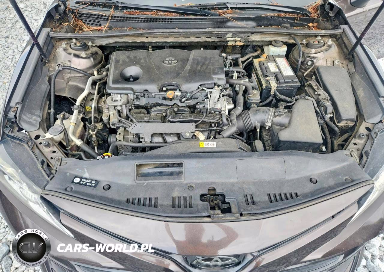 2019 Toyota Camry Le VIN:4T1B11HK3KU270560 - 11