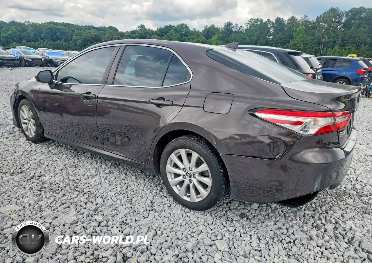 2019 Toyota Camry Le VIN:4T1B11HK3KU270560 - 2