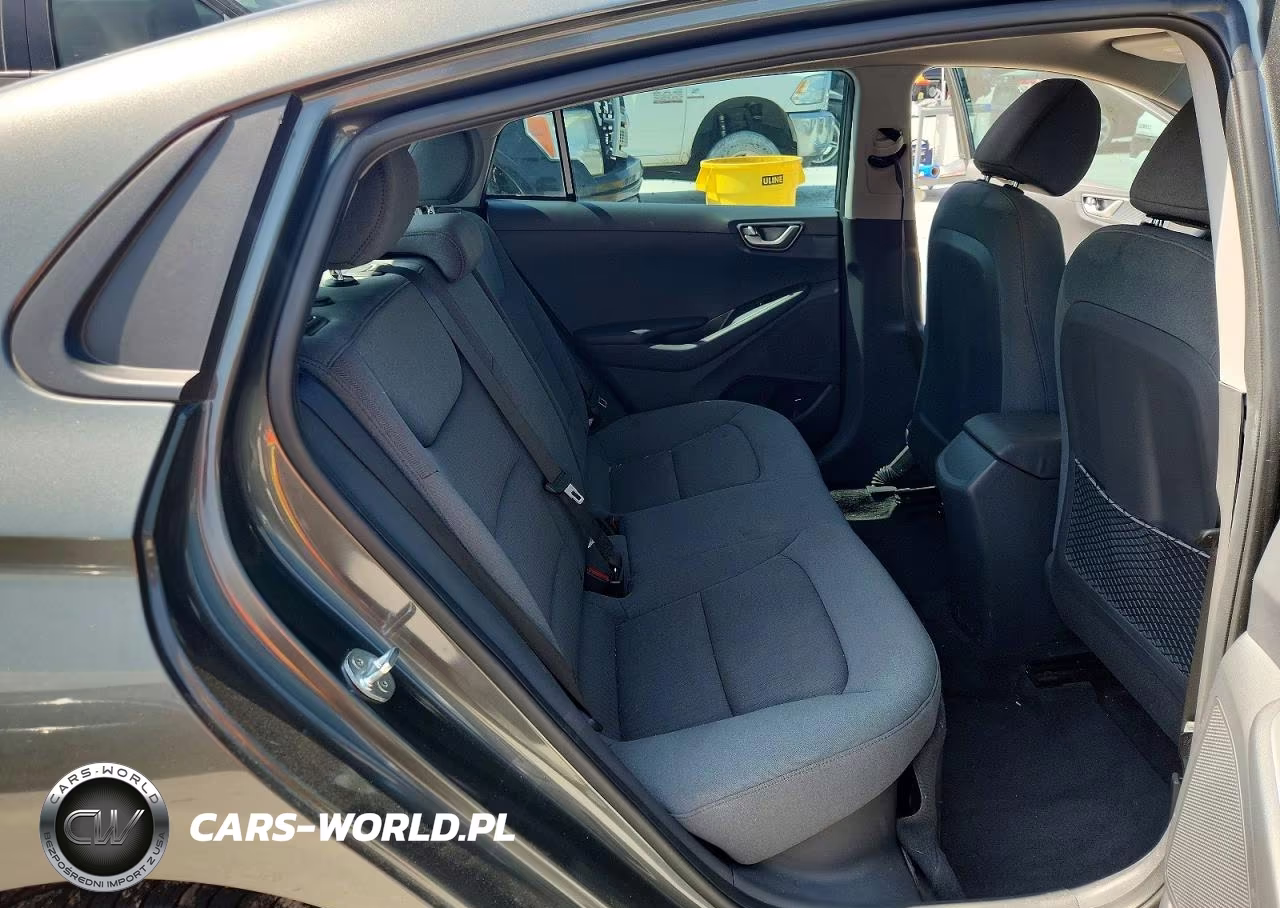 2020 Hyundai Ioniq Blue VIN:KMHC65LC8LU229047 - 10