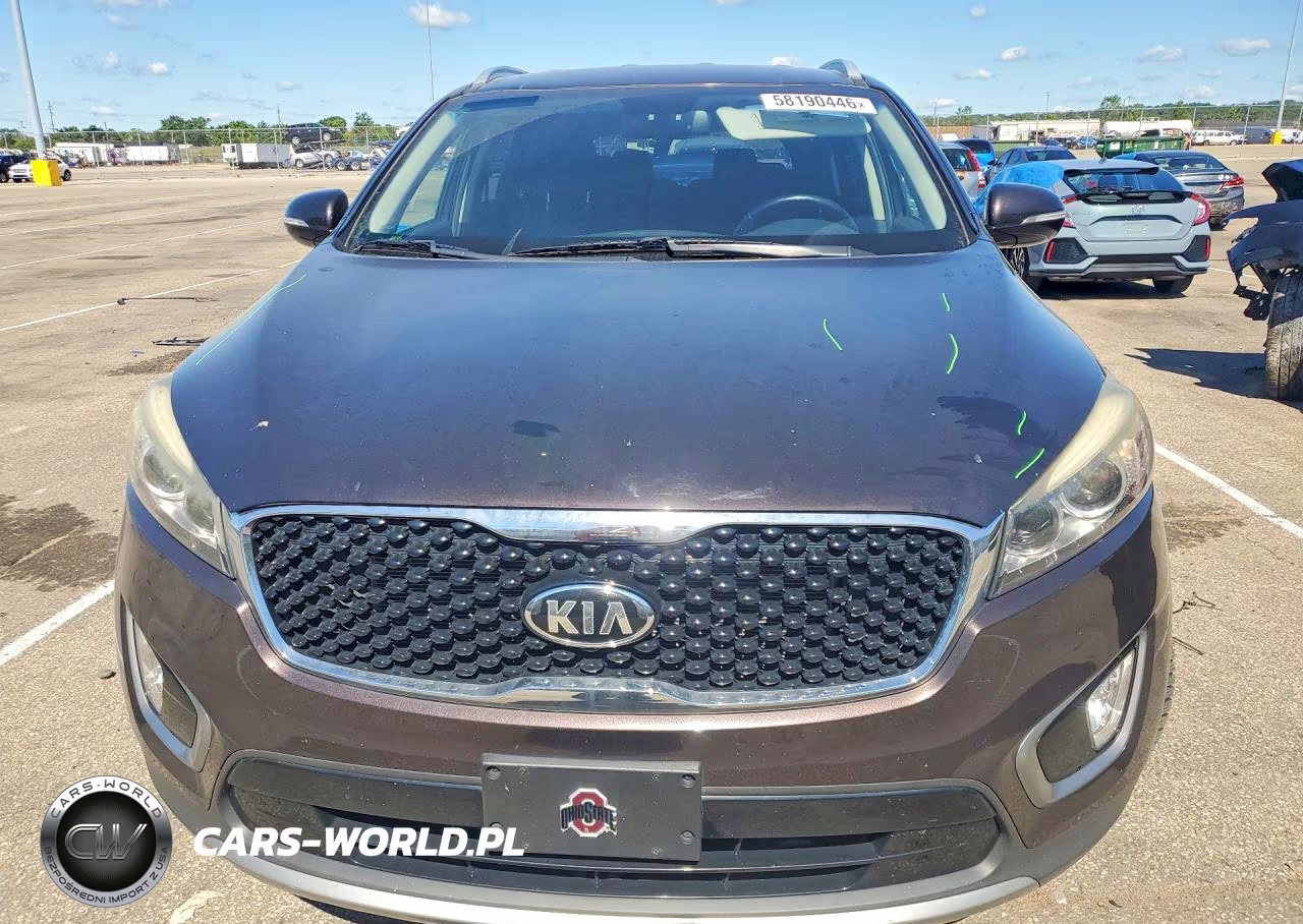 2016 Kia Sorento Ex VIN:5XYPHDA56GG113478 - 5