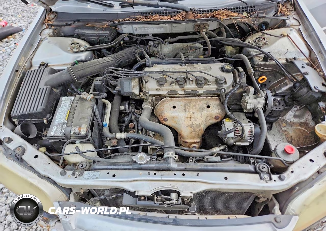 2002 Honda Accord Lx VIN:1HGCG56452A046163 - 11