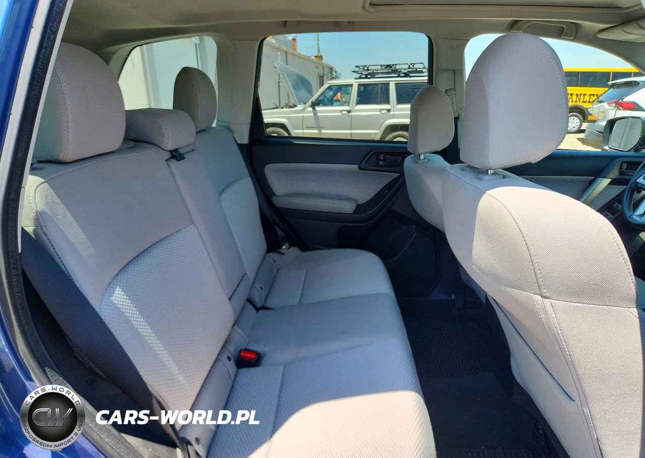 2017 Subaru Forester 2.5I Premium VIN:JF2SJAEC7HH549921 - 10