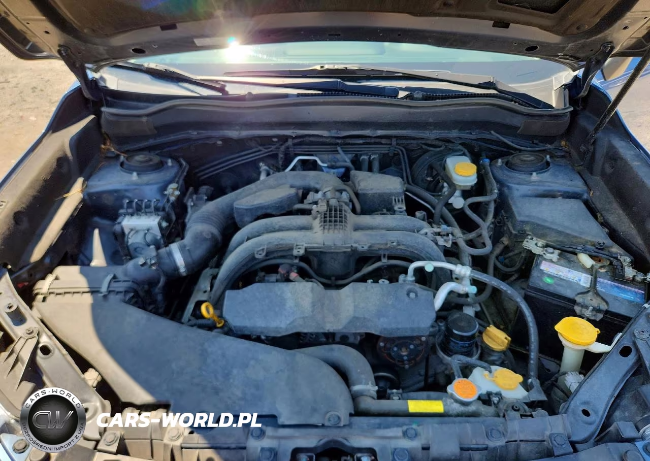 2017 Subaru Forester 2.5I Premium VIN:JF2SJAEC7HH549921 - 11