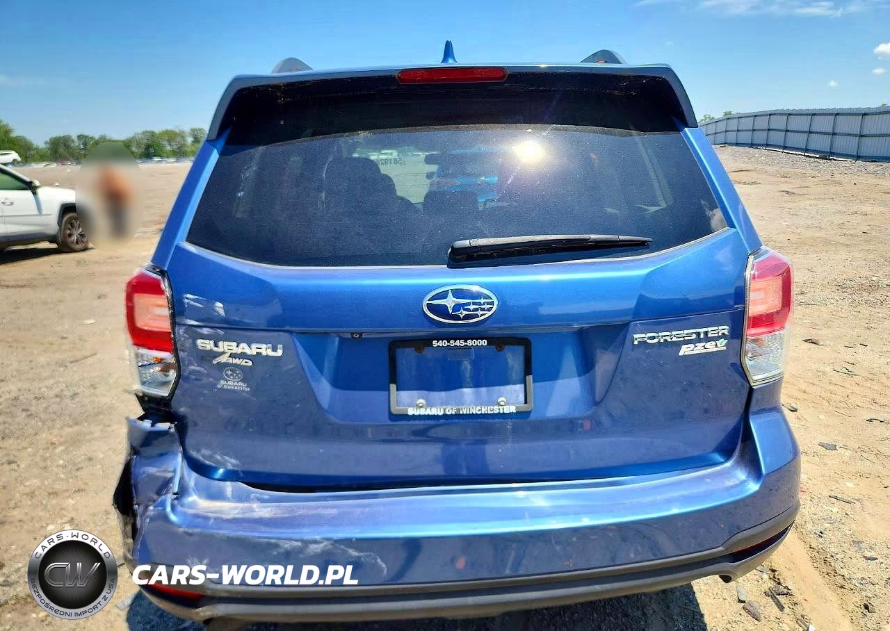 2017 Subaru Forester 2.5I Premium VIN:JF2SJAEC7HH549921 - 6