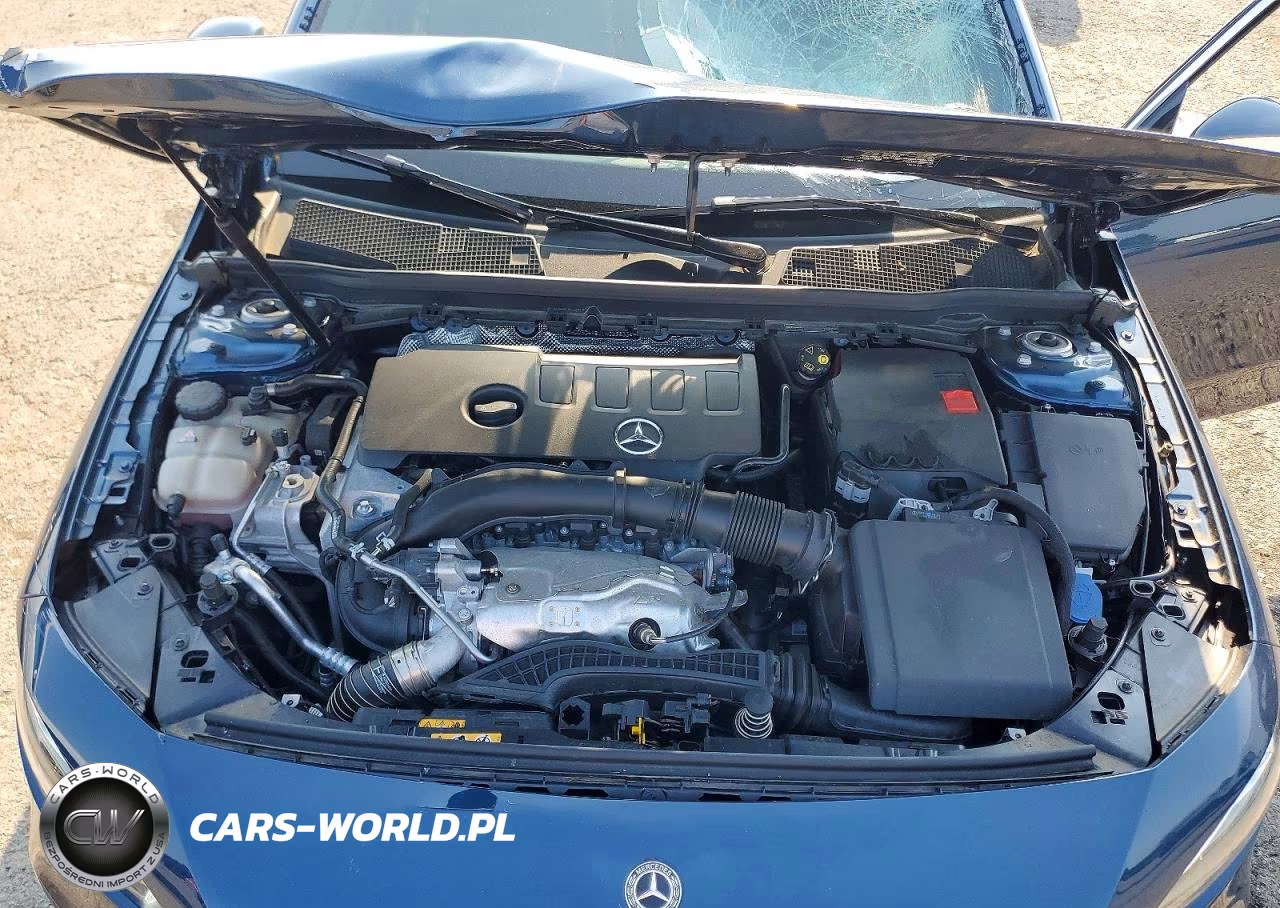 2020 Mercedes-Benz A 220 4Matic VIN:WDD3G4FB1LW039633 - 11