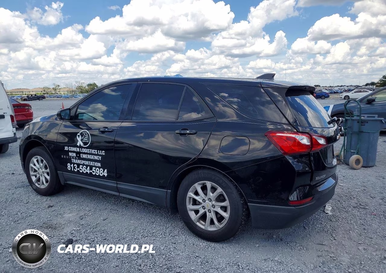 2019 Chevrolet Equinox Ls VIN:2GNAXHEV9K6233895 - 2