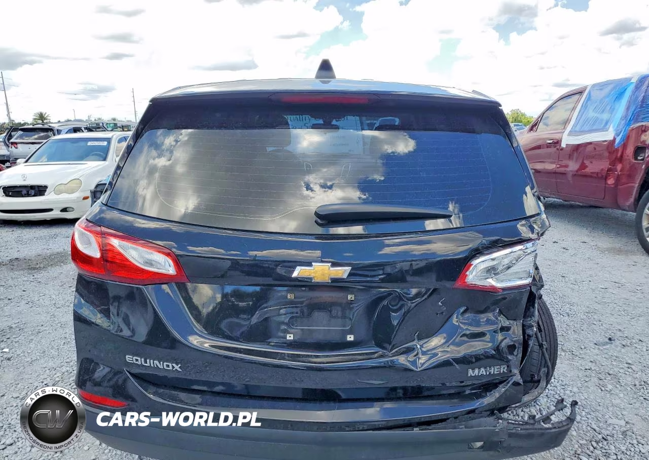 2019 Chevrolet Equinox Ls VIN:2GNAXHEV9K6233895 - 6