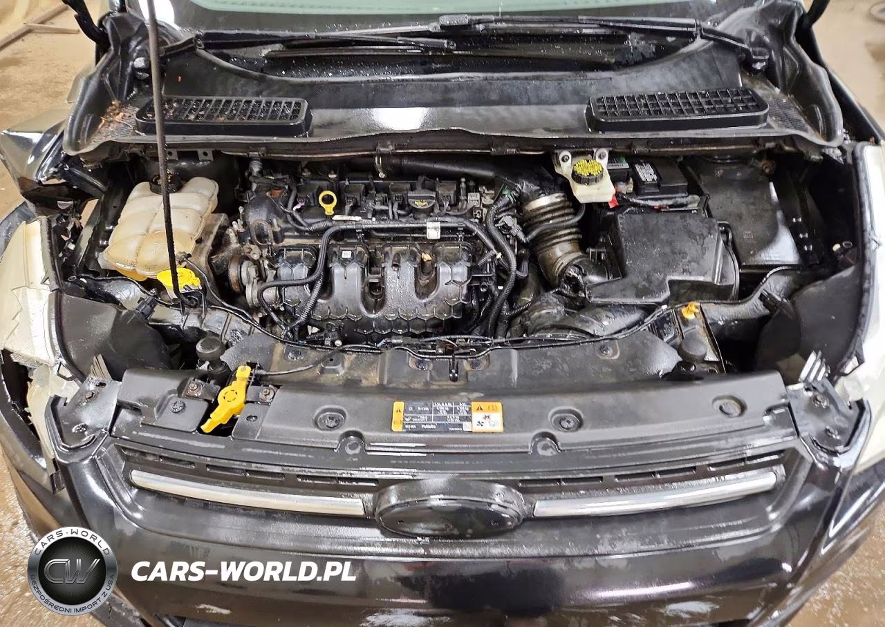 2014 Ford Escape Se VIN:1FMCU9G9XEUC87384 - 12