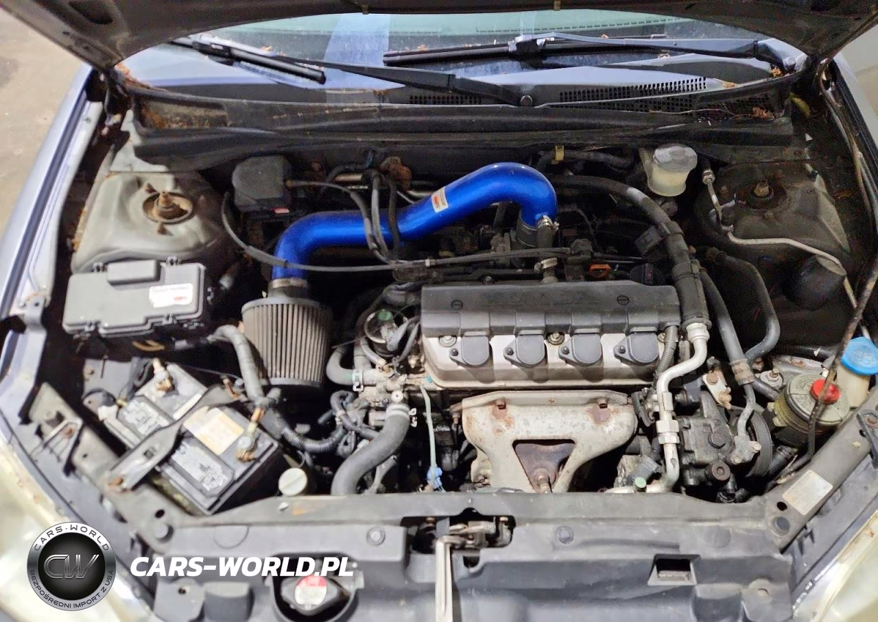 2004 Honda Civic Lx VIN:2HGES16544H612584 - 11