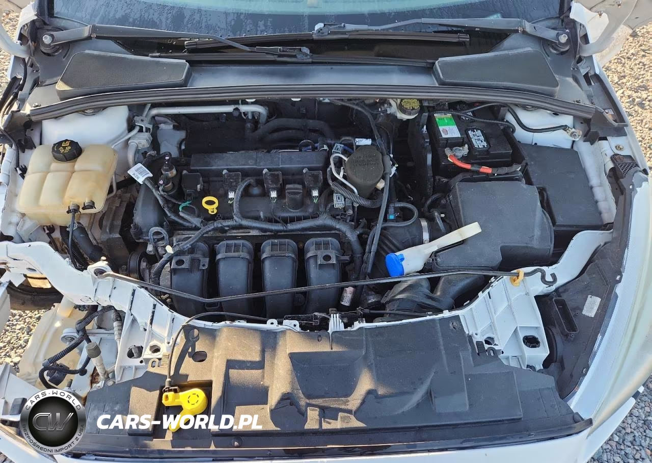 2016 Ford Focus Se VIN:1FADP3F26GL306108 - 11