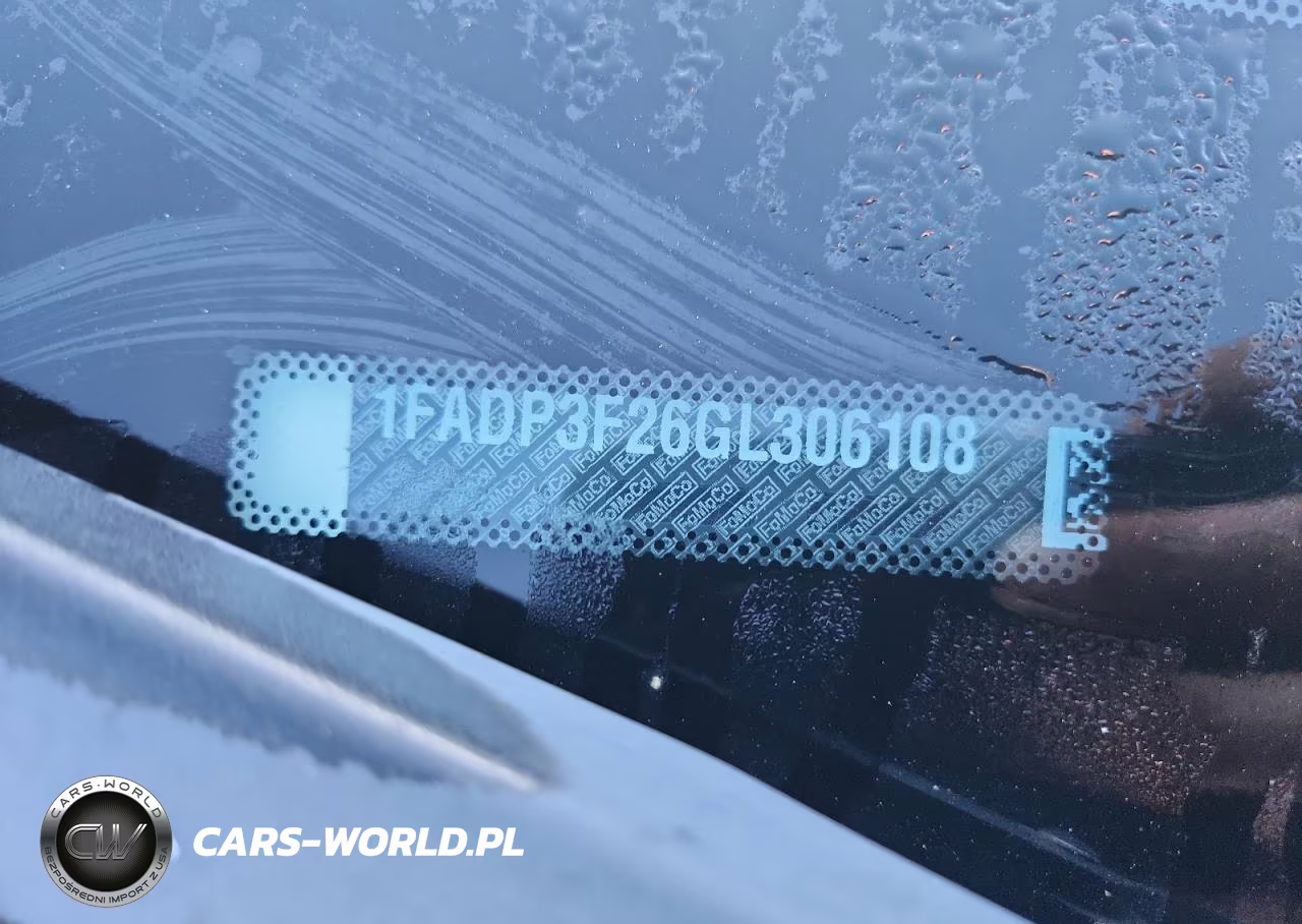 2016 Ford Focus Se VIN:1FADP3F26GL306108 - 12