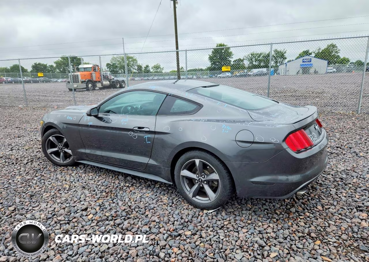 2015 Ford Mustang VIN:1FA6P8AM2F5353587 - 2