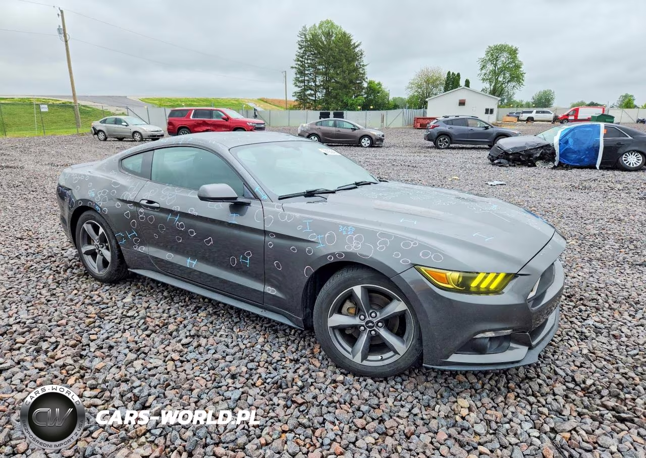 2015 Ford Mustang VIN:1FA6P8AM2F5353587 - 4