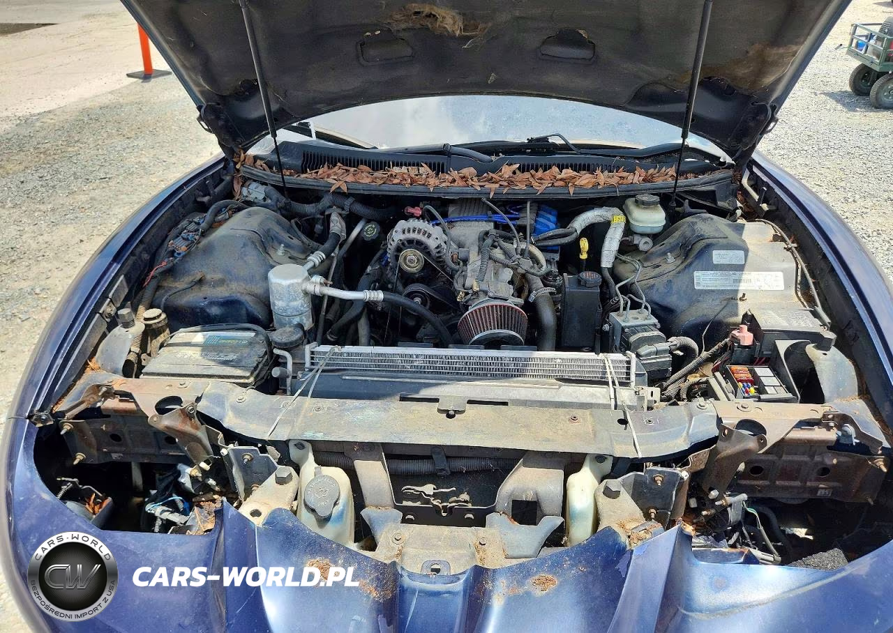 1998 Pontiac Firebird VIN:2G2FS22K1W2205868 - 11