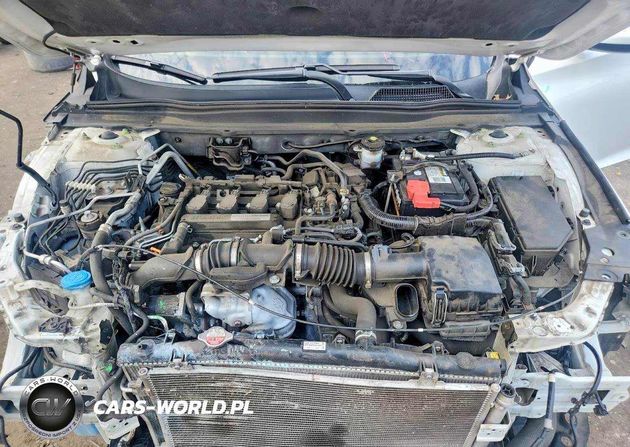 2019 Honda Accord Lx VIN:1HGCV1F12KA111300 - 11