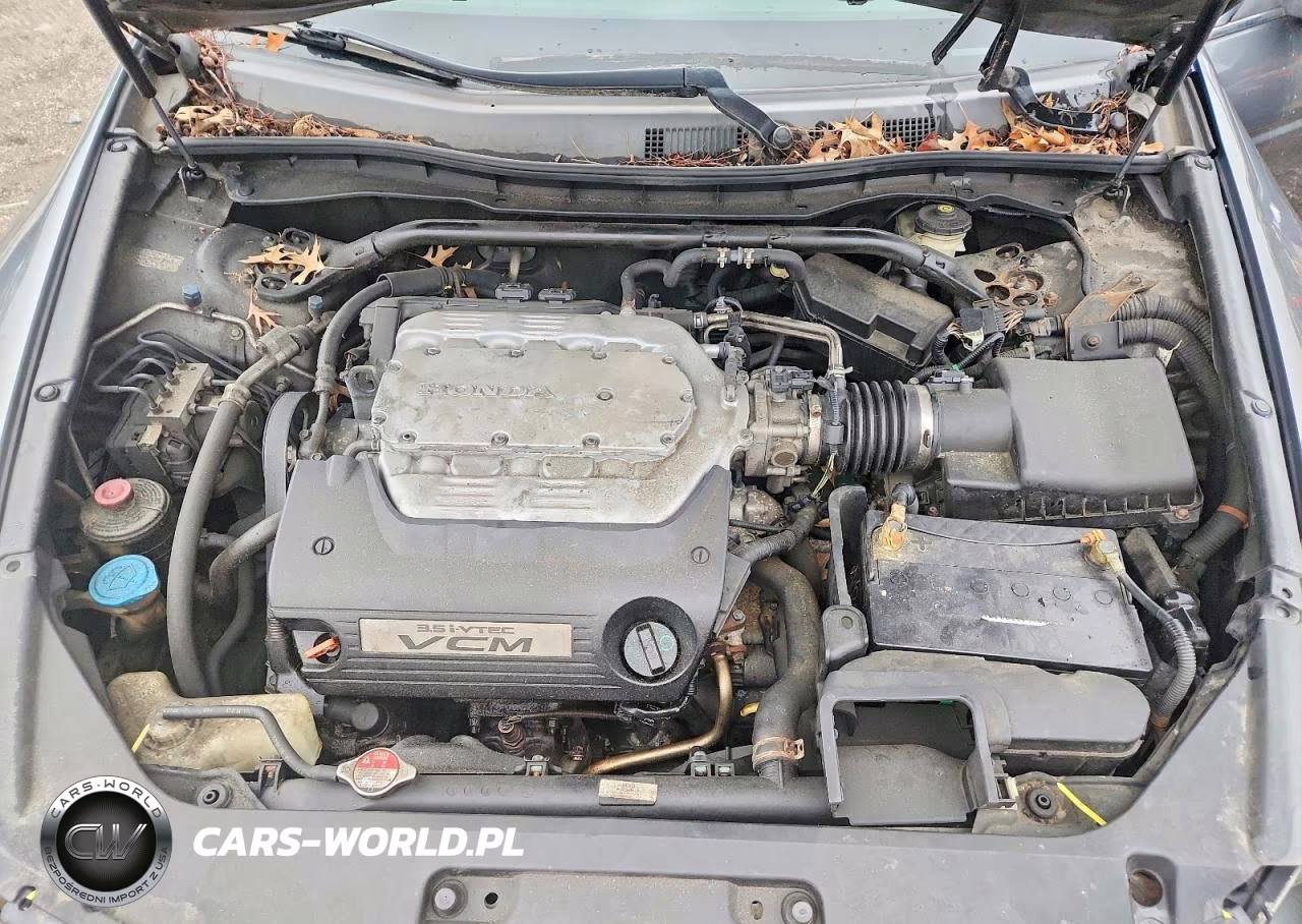 2008 Honda Accord Exl VIN:1HGCS22818A012381 - 11