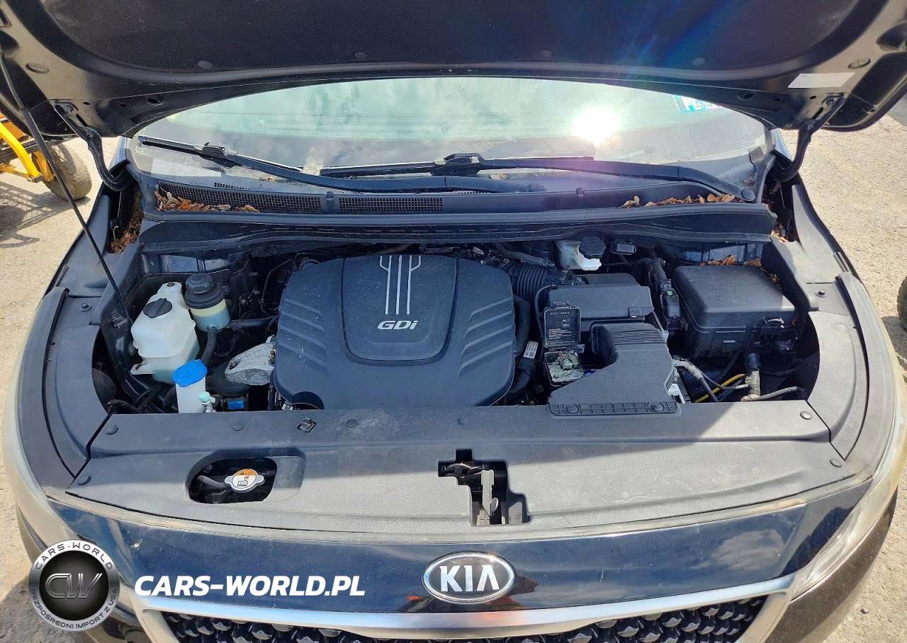 2016 Kia Sedona Lx VIN:KNDMB5C10G6111202 - 12