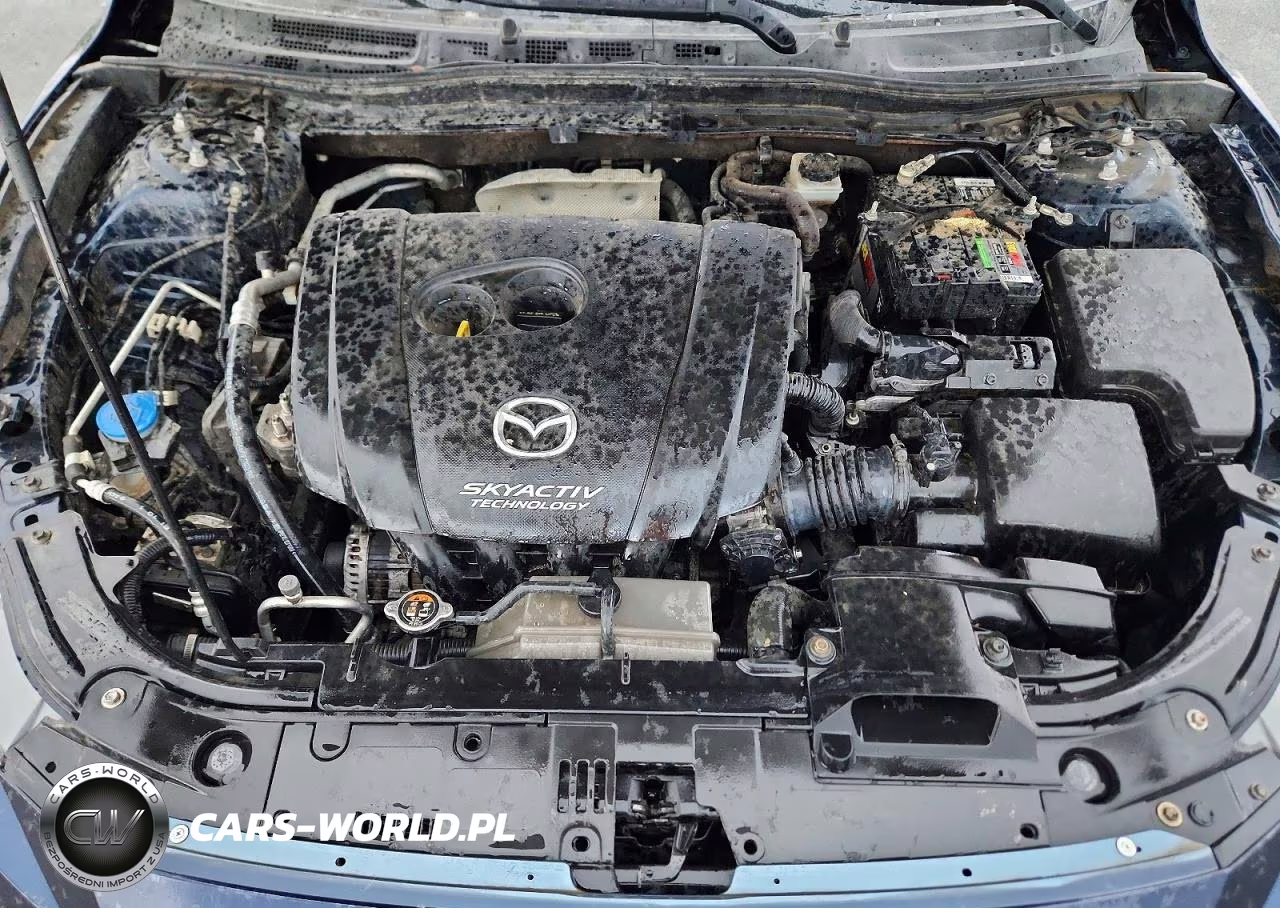 2016 Mazda 3 Sport VIN:JM1BM1U70G1293820 - 11