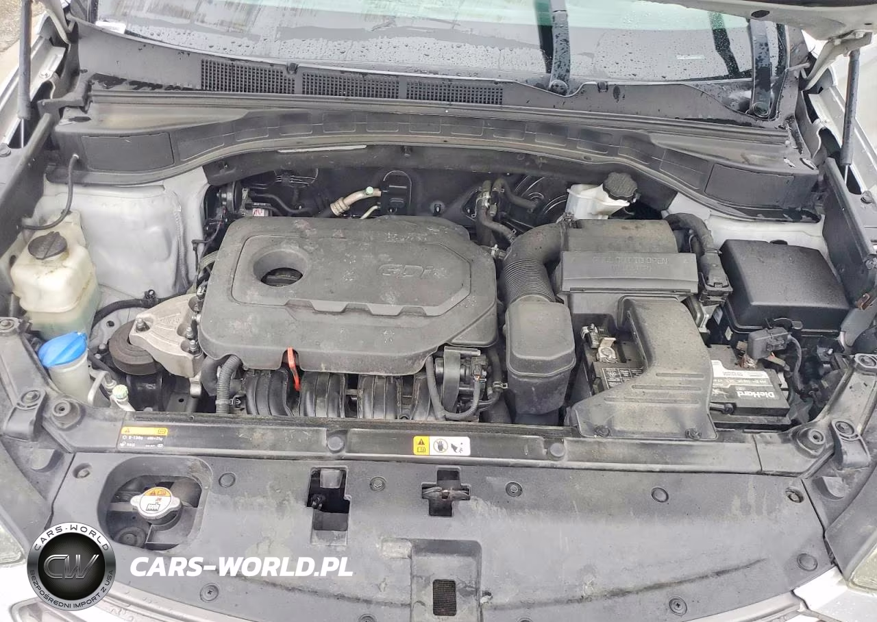 2017 Hyundai Santa Fe Sport 2.4L VIN:5XYZT3LB1HG405738 - 12