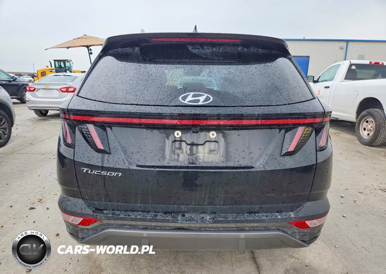 2024 Hyundai Tucson Limited VIN:5NMJE3DE7RH402446 - 6